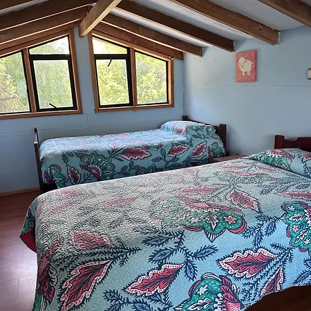 Cabanas Paihuen Pucon Exterior photo