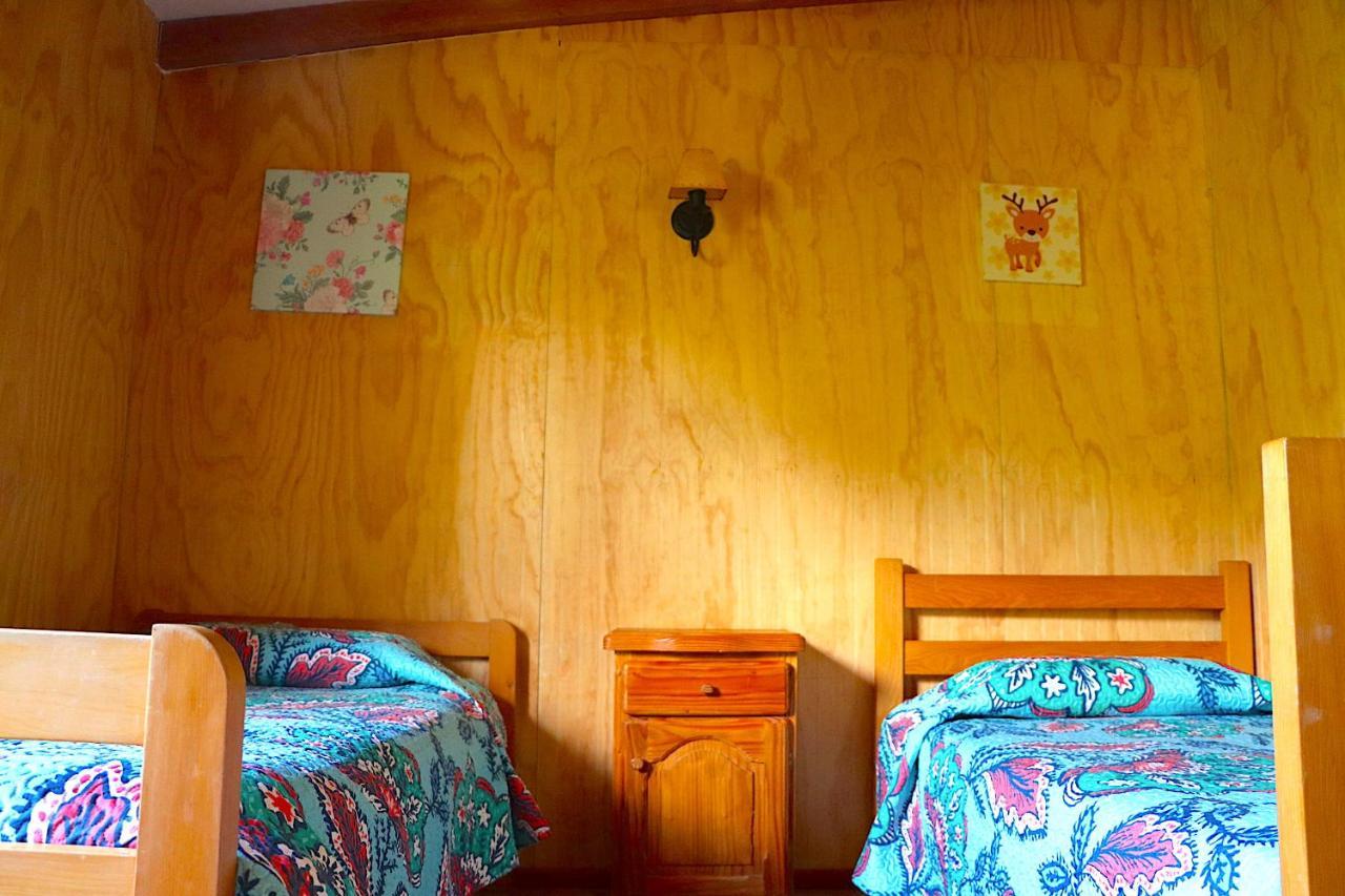 Paihuen Holiday home Pucon