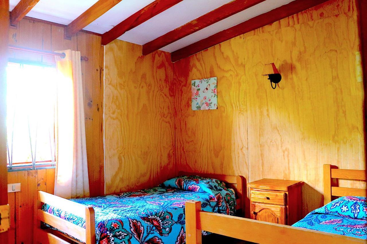 Paihuen Holiday home Pucon