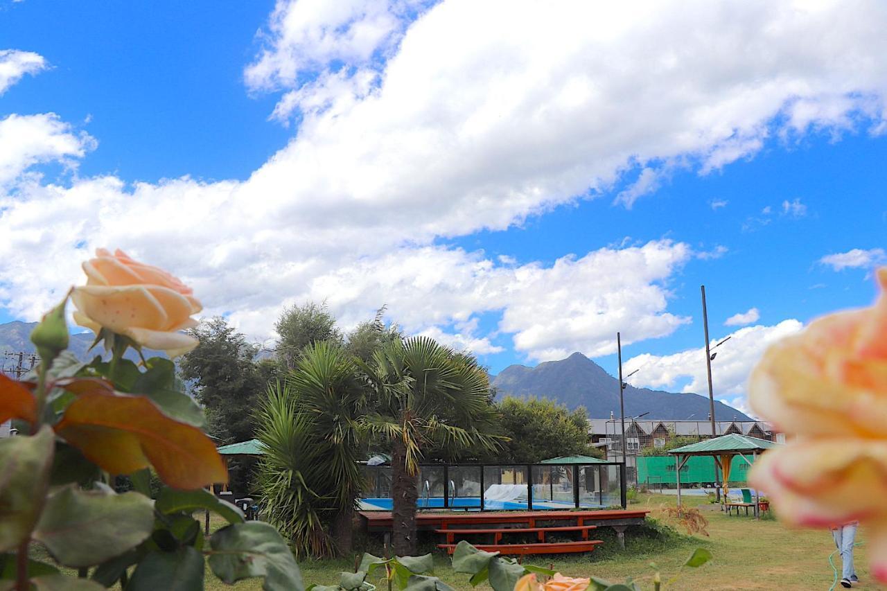 Paihuen * Pucon