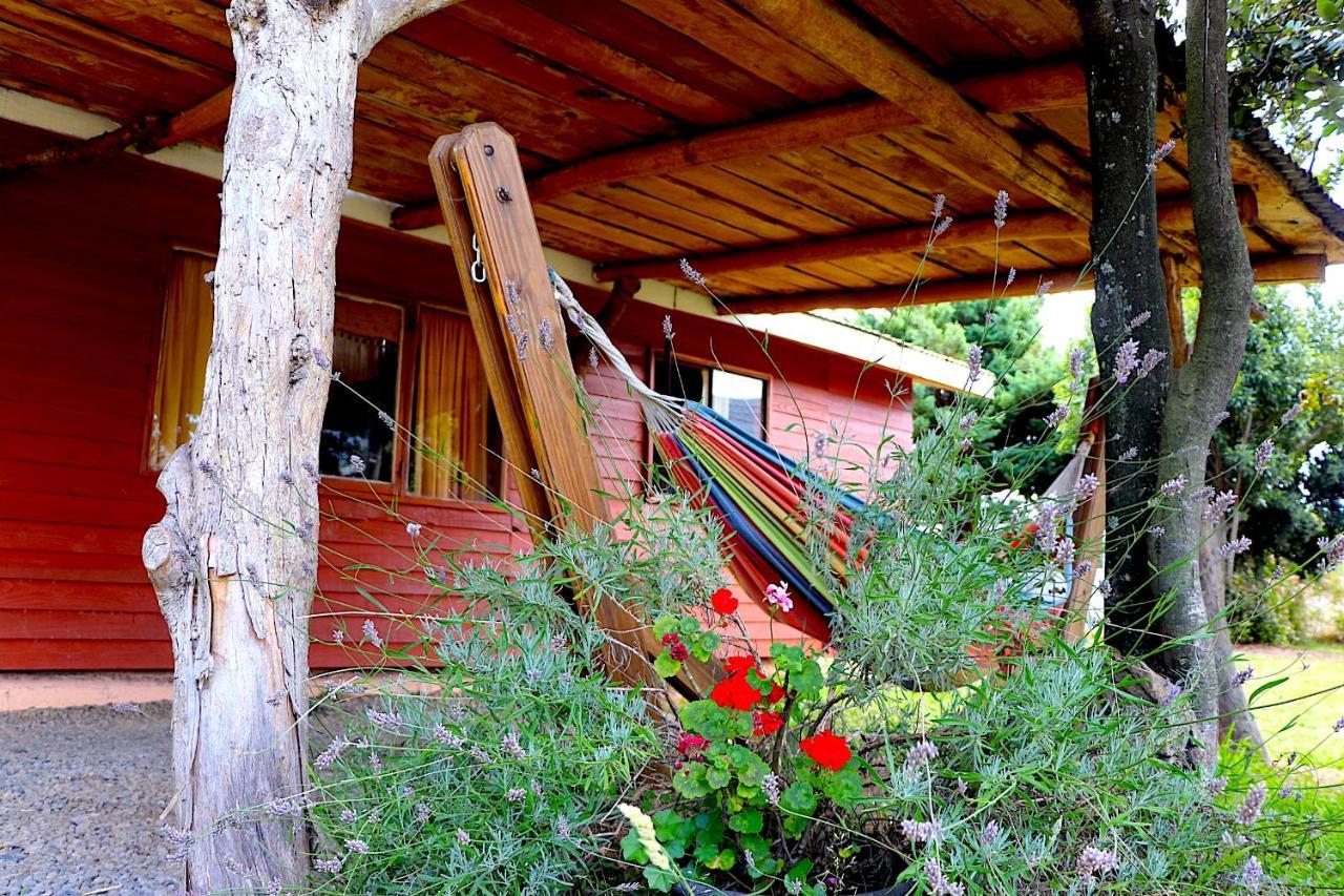 Paihuen Holiday home