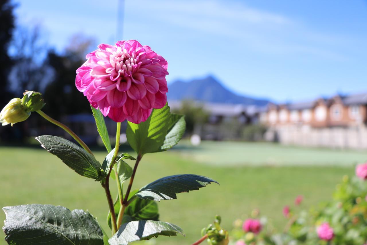Paihuen Holiday home