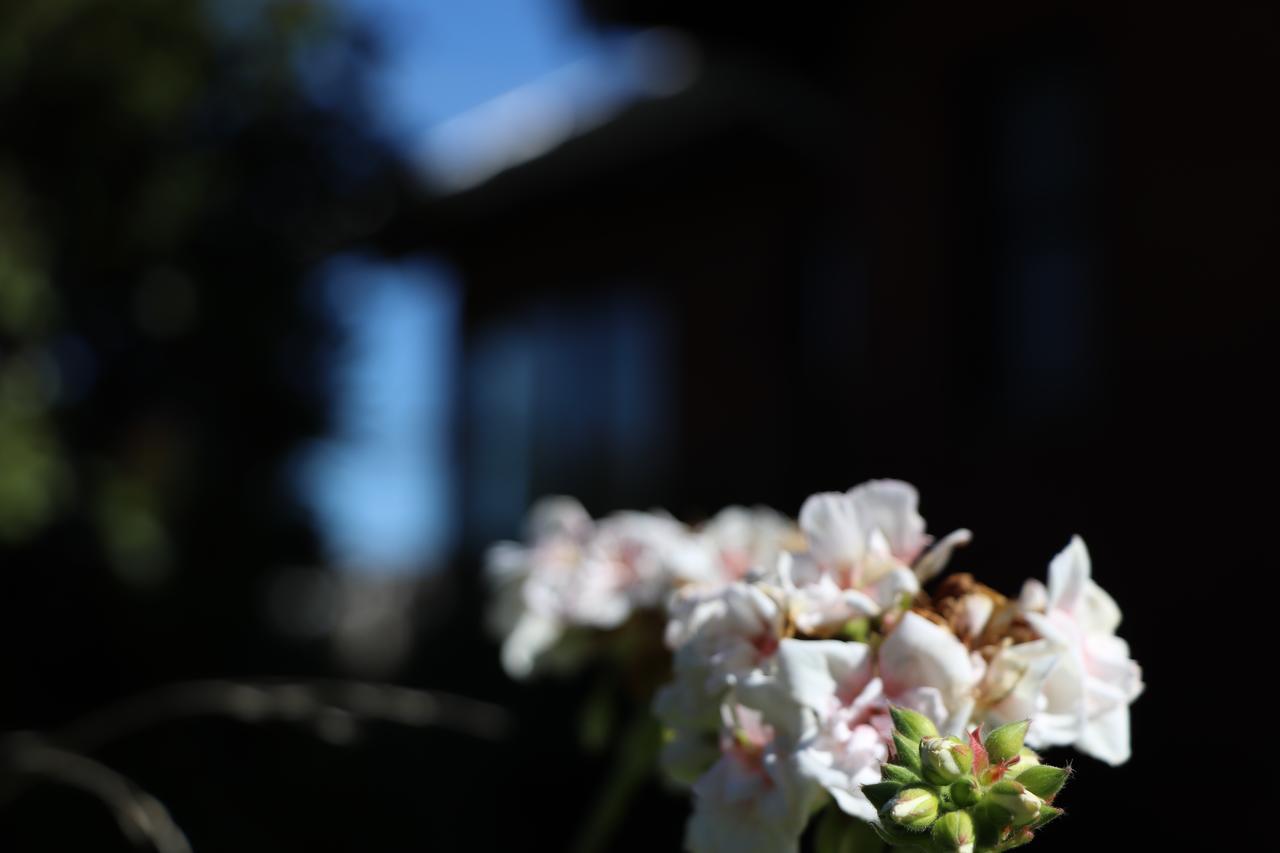 Paihuen Holiday home