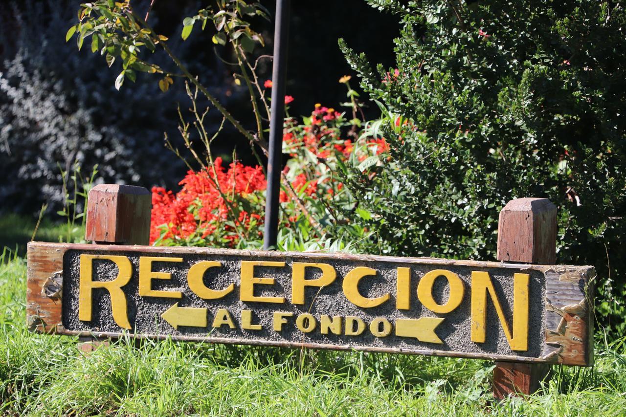 Holiday home Paihuen Pucon